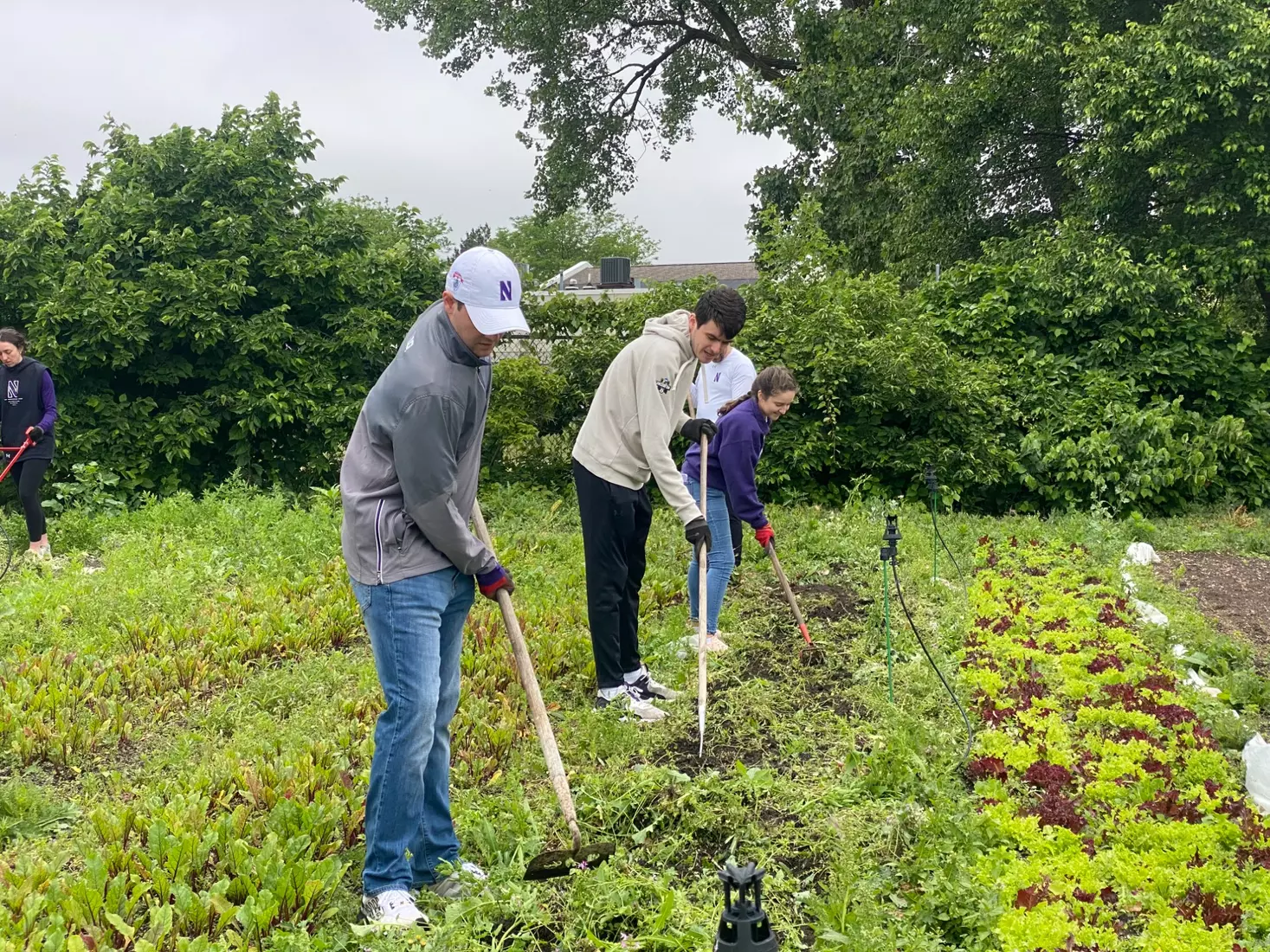 On Friday, June 16, the Northwestern University Department of Athletics and Recreation held its annual Community Outreach Day, where staff members spent the morning giving back in the Evanston community.