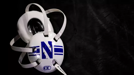 Wrestling Headgear