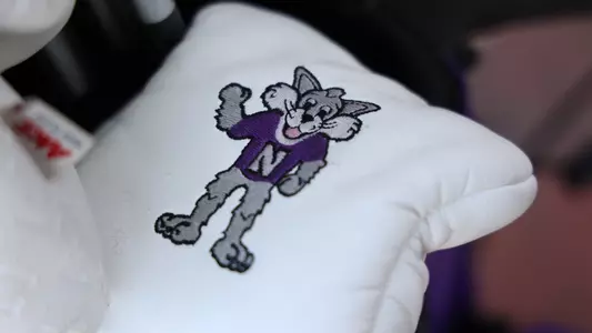 Wildcat Club Cover