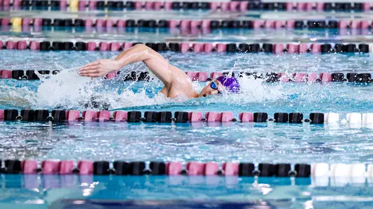 swim new coach