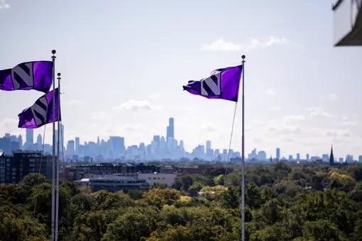 Northwestern Flags Chicago Skyline