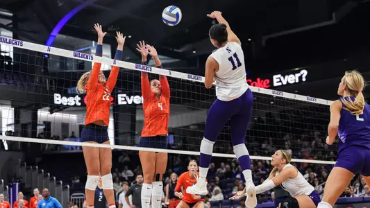 elnady vs illinois