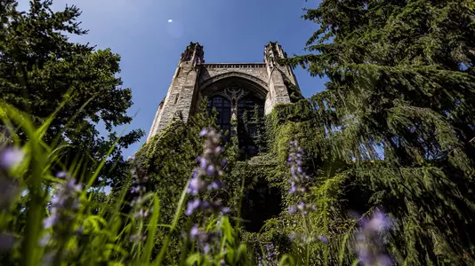 A general view of campus in Evanston, IL on Tuesday, June 10, 2025.