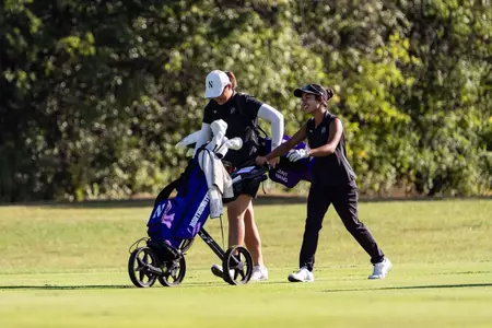 Lauren E. Lee/Jiayi Wang