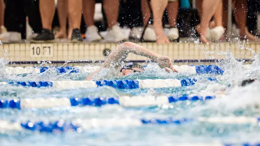 NordmannNCAAsFree2026