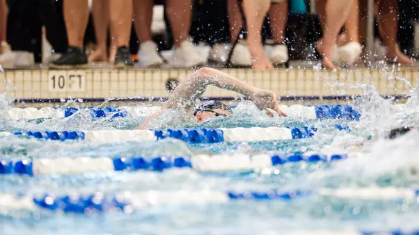 NordmannNCAAsFree2026