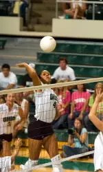 Bobcats Bounce the Zips Image