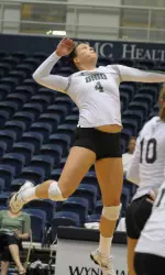 Volleyball Sweeps Binghamton To Open Pitt Classic Image