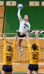 `Cats Drop First Conference Contest to Broncos Image