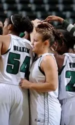 `Cats Fall to Gators on the Road Image