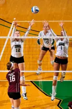 'Cats Handle Fighting Irish, Advance to Second Round Image