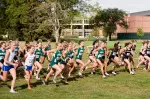 Bobcats Brave Stormy Conditions Image