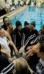 `Cats in First After Day One of Zippy Invite Image