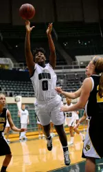 Owls Shoot Down `Cats Image