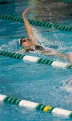 Dawson, Henderson Lead @Ohio_Swim_Dive in Battle Against Akron Image
