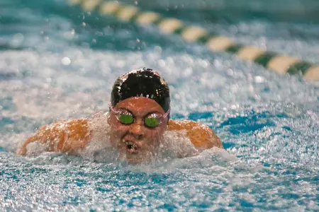 Ohio Swimming and Diving Finishes Ohio State Fall Open Invitational in Eighth Place Image