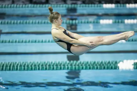Ohio Swimming & Diving Visits MAC Foe Buffalo on Saturday Image