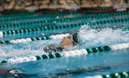 swim