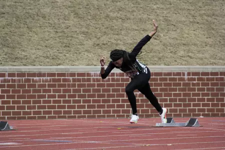 Taniah Stephens