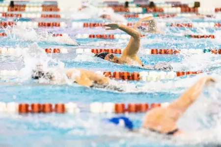 swim