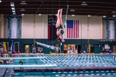 dive