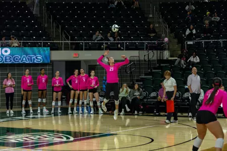 vb