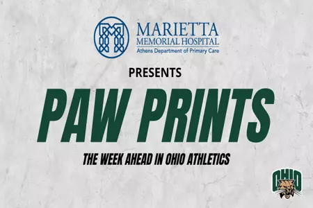 Paw Prints