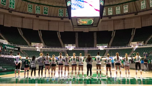 vb team
