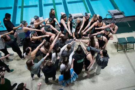 SwimandDive