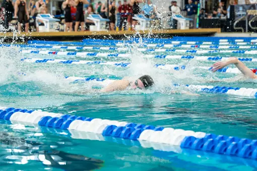 Swim and Dive