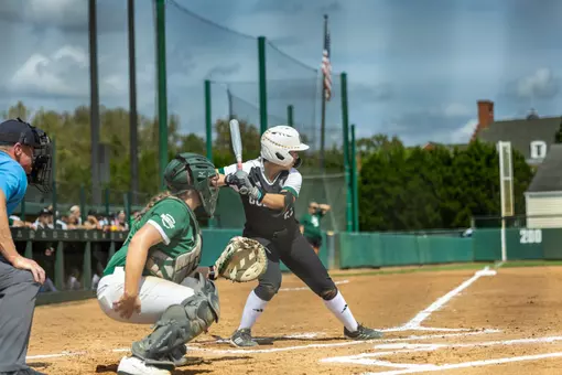 Hailey Massaro Batting