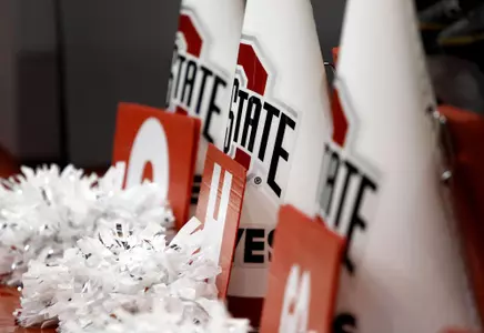 Pair of Cheerleaders Make United States National Team