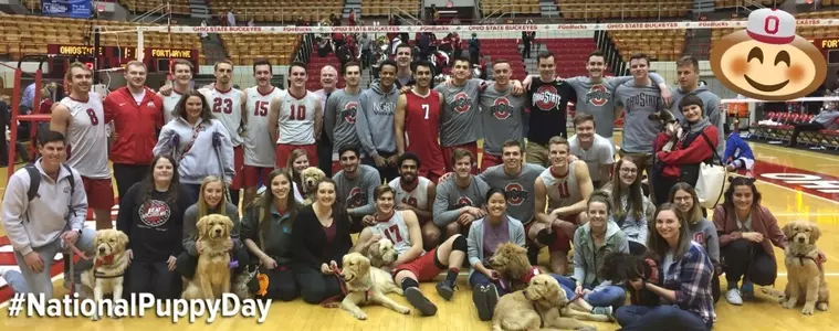 ?? Good Boys! Buckeyes Win on #NationalPuppyDay ??
