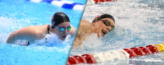 Academic Accolades Abound for Ohio State Swimmers