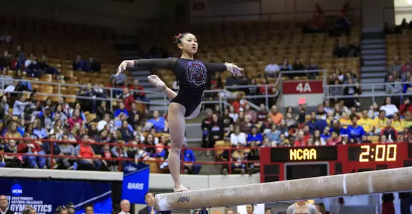 Buckeye Breakdown | Amanda Huang | Financial Services