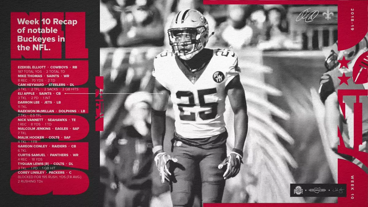 Week 10 Recap of Notable Buckeyes in the NFL 2018-19