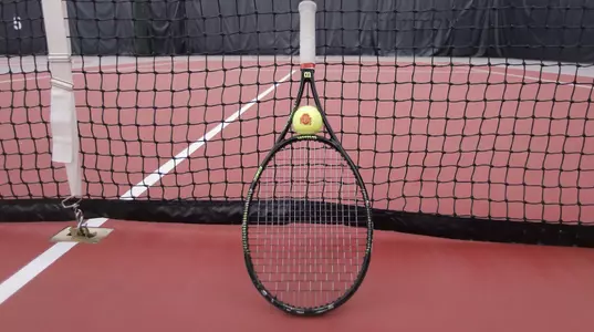 Buckeyes in Action at Ann Arbor