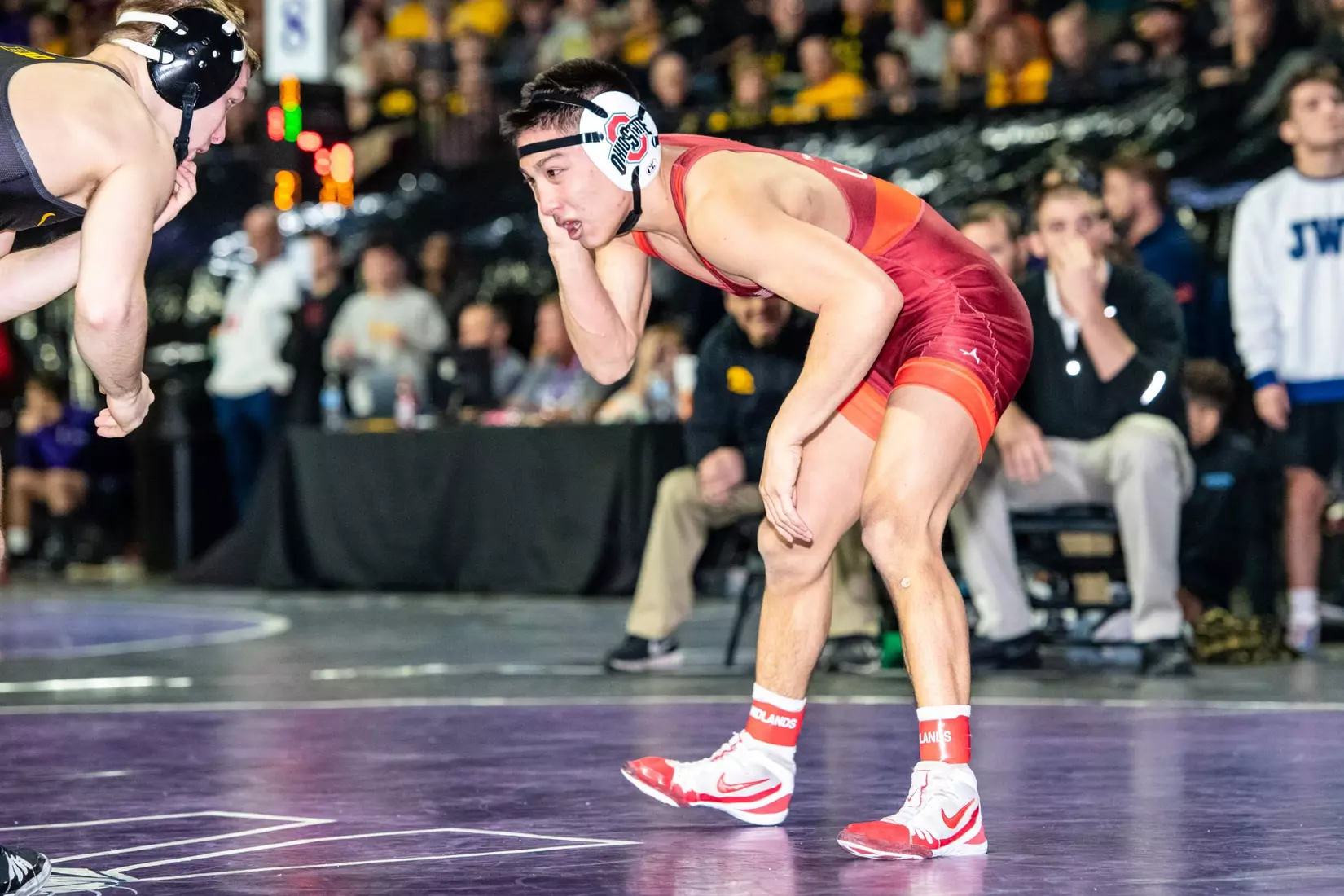 Sasso, Hoffman Place at Midlands