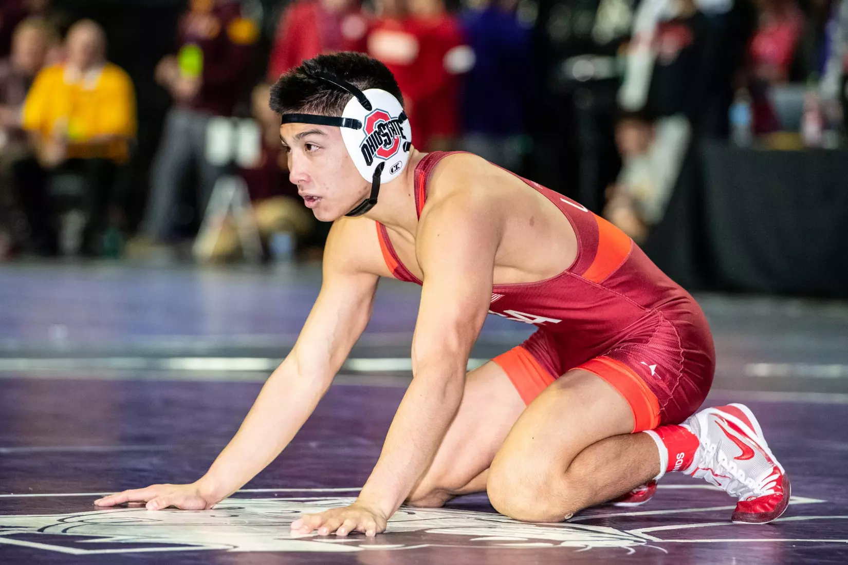 Sasso, Hoffman Place at Midlands