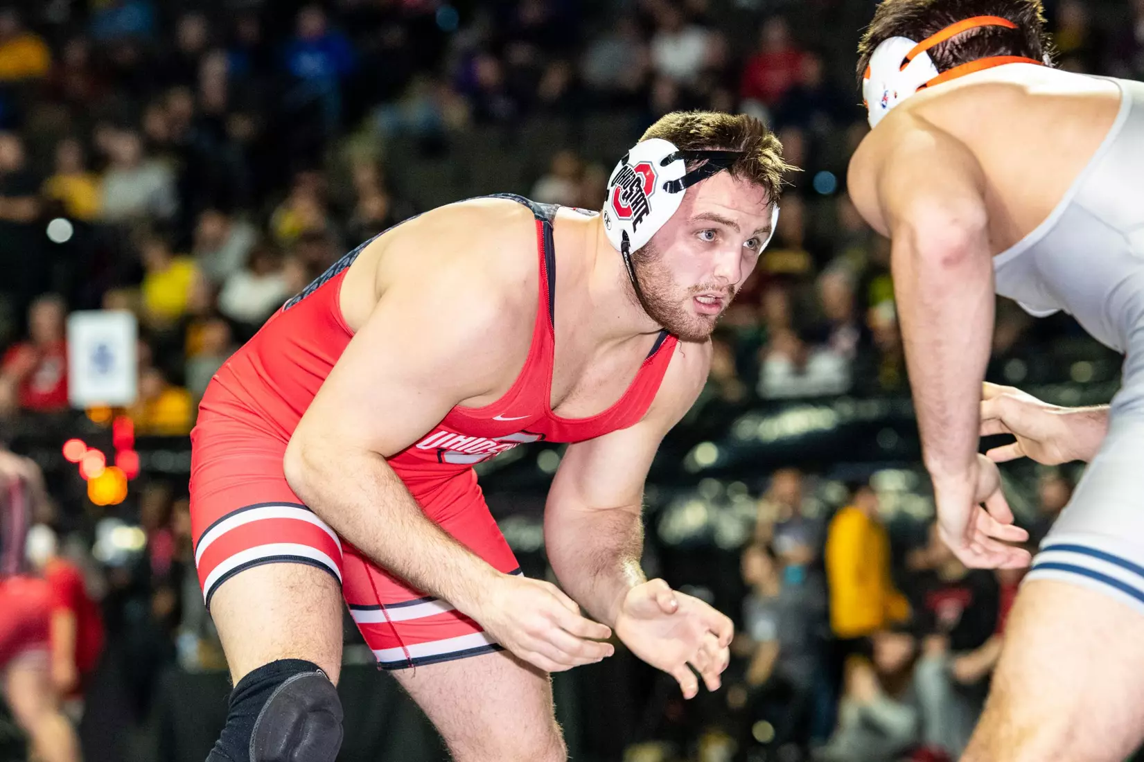 Sasso, Hoffman Place at Midlands