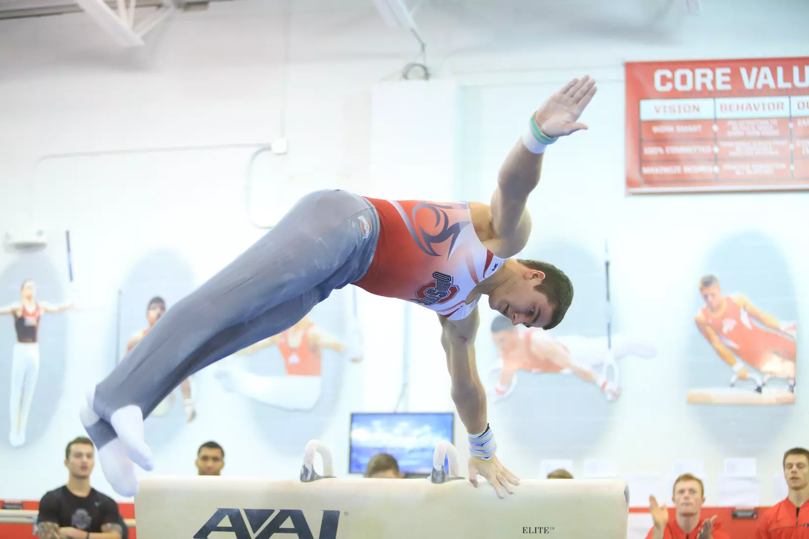 Four Buckeyes Named Big Ten Distinguished Scholars