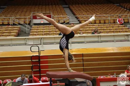 Buckeyes Honored as Ohio State Scholar-Athletes