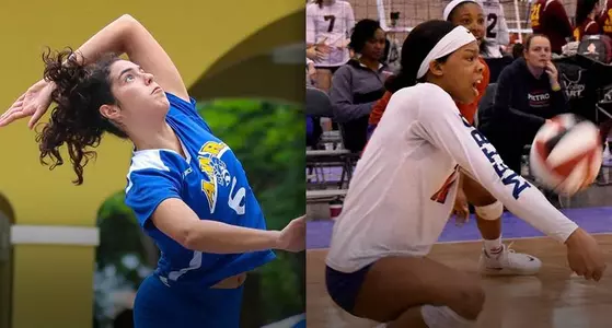Ohio State Adds a Pair to 2019 Roster