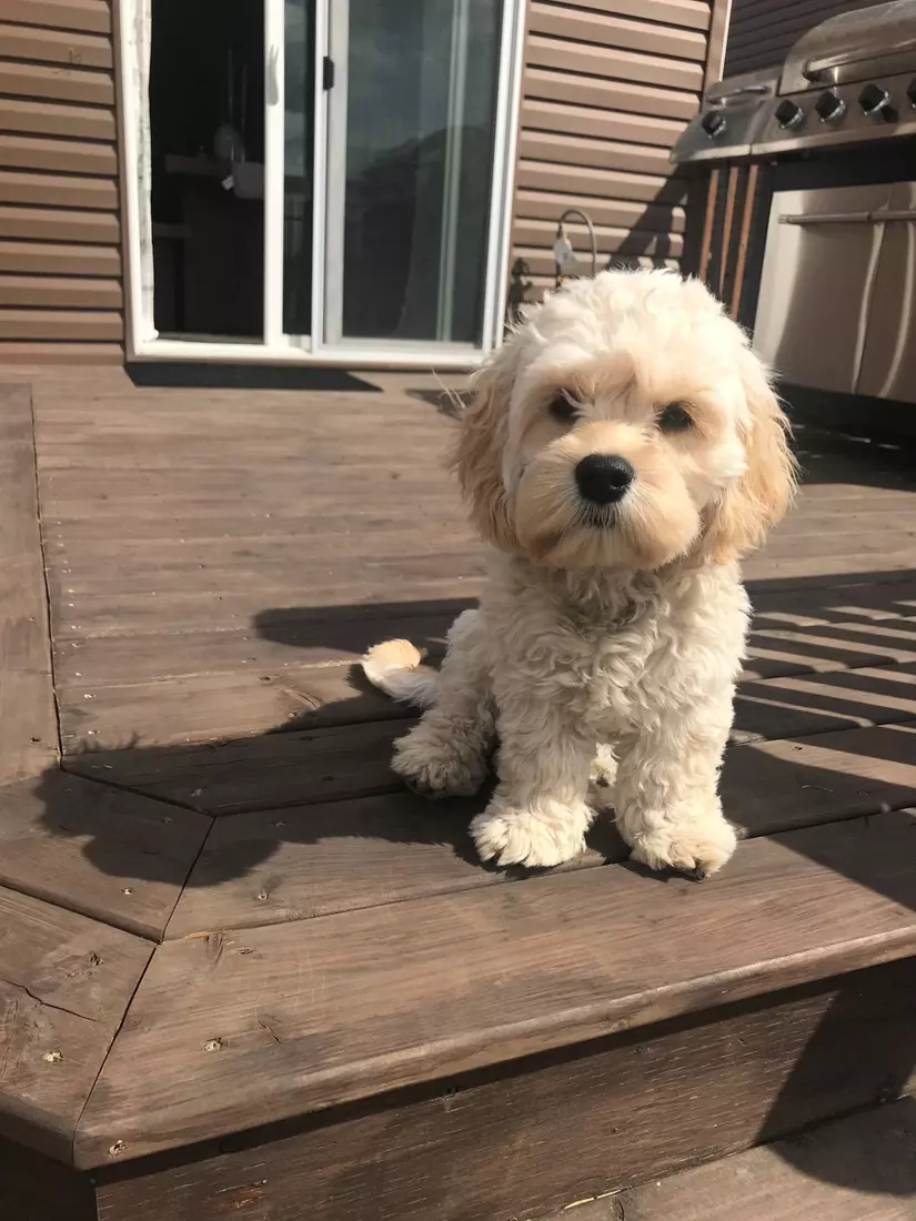 Buckeye Alumni Spotlight | Lauren (Granberg) Lonsberry