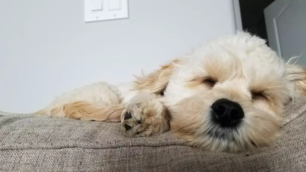 Buckeye Alumni Spotlight | Lauren (Granberg) Lonsberry