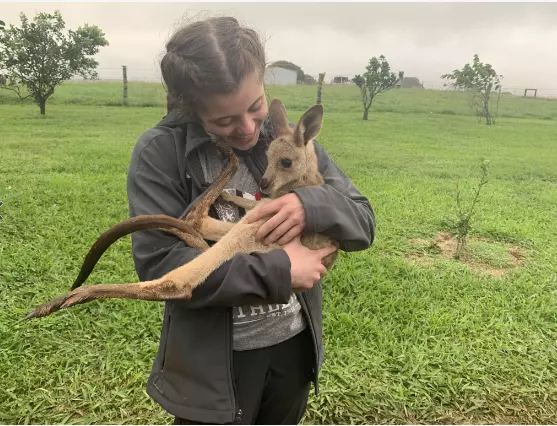 My Road Trip – Morgan Lowe