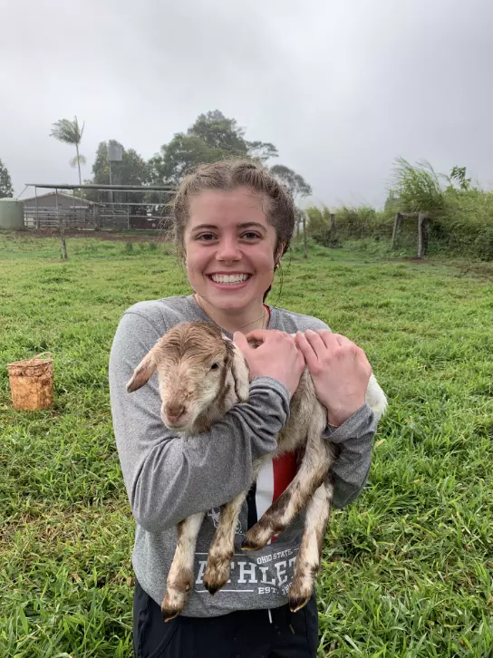 My Road Trip – Morgan Lowe