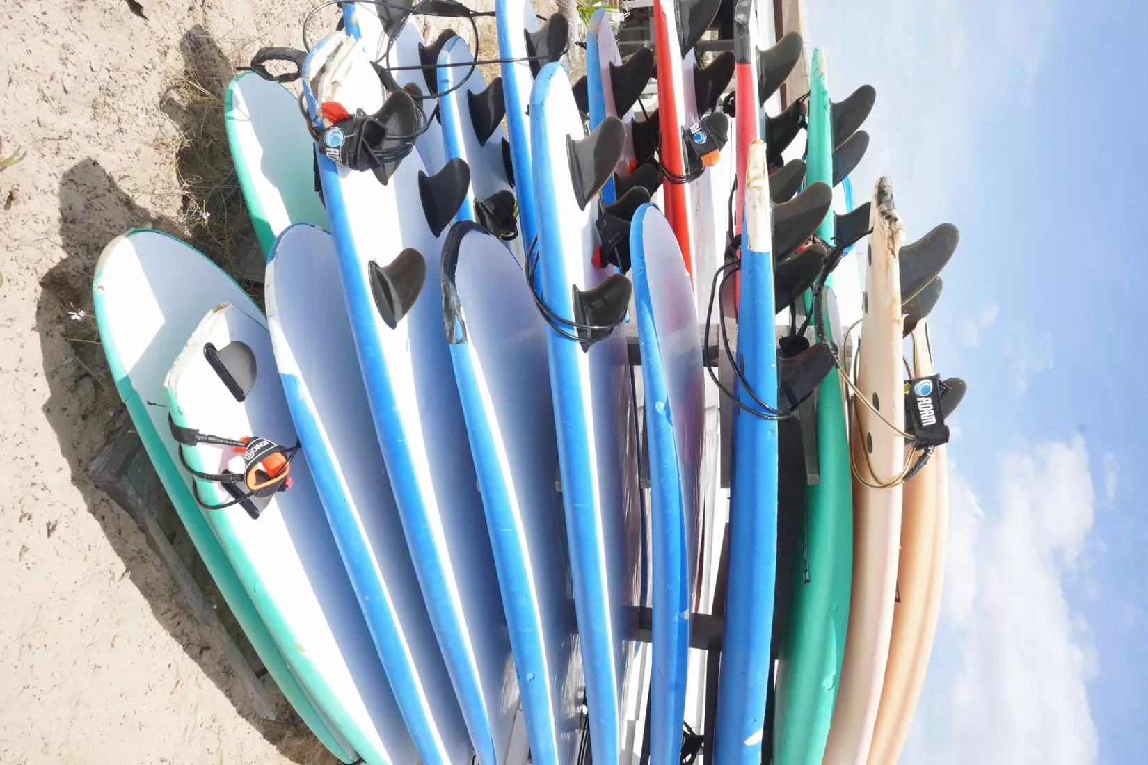 Buckeyes in Portugal