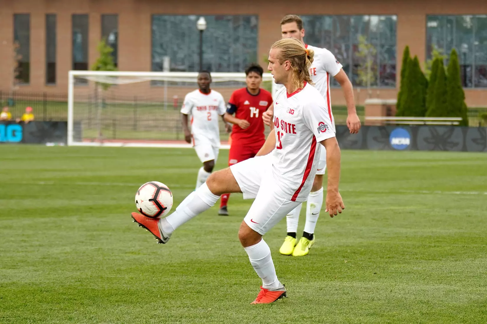 Get to Know Junior Matteo Bennati