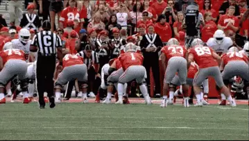 ?? Scenes from Saturday: FAU ??